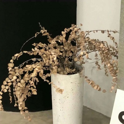 Furry兽设设计干货福瑞群